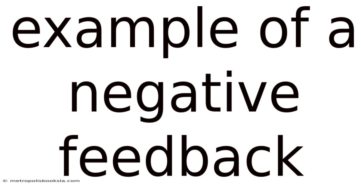 Example Of A Negative Feedback