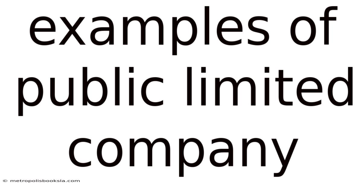 Examples Of Public Limited Company