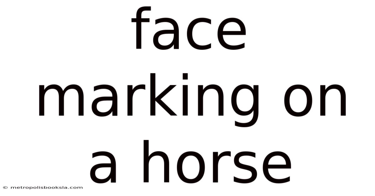 Face Marking On A Horse