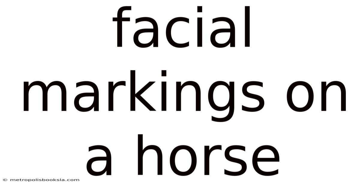 Facial Markings On A Horse