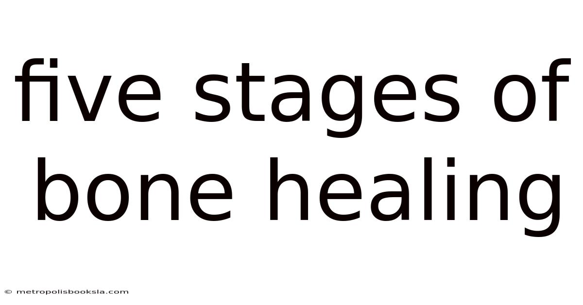Five Stages Of Bone Healing