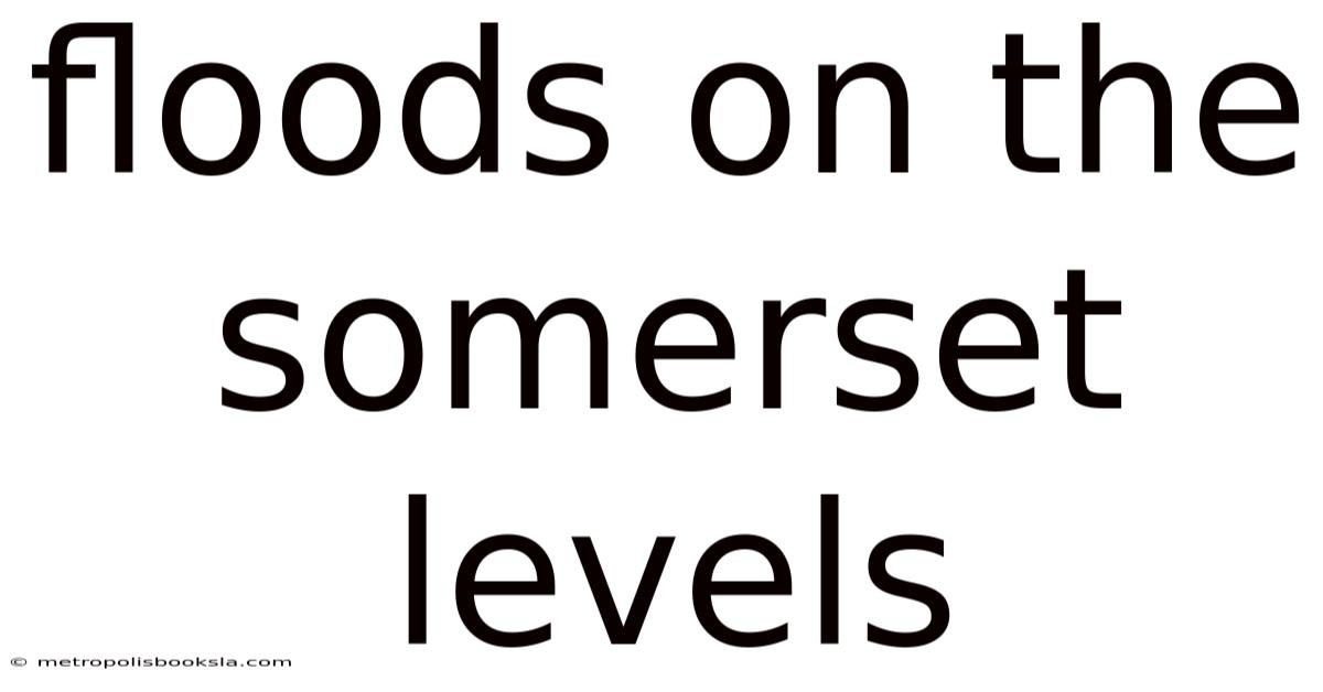 Floods On The Somerset Levels