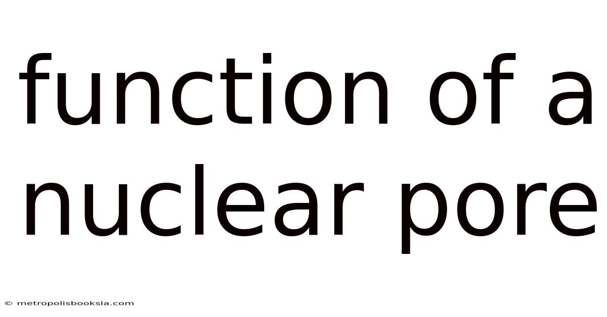 Function Of A Nuclear Pore