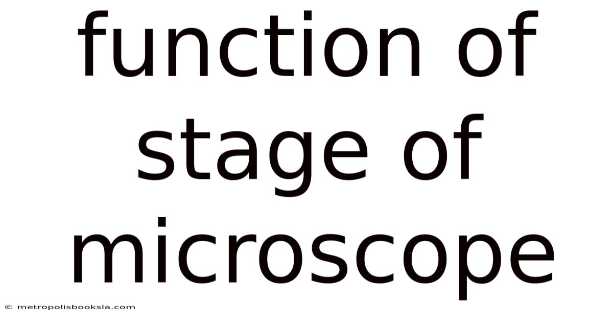Function Of Stage Of Microscope