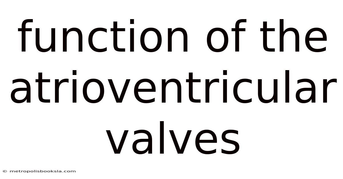 Function Of The Atrioventricular Valves