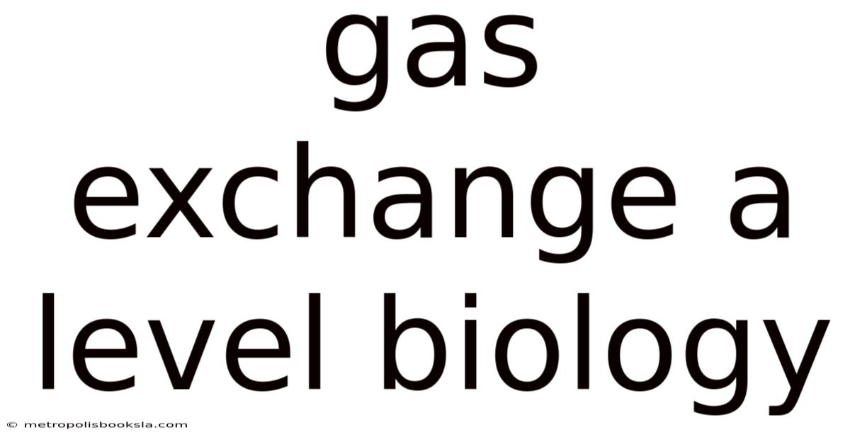 Gas Exchange A Level Biology
