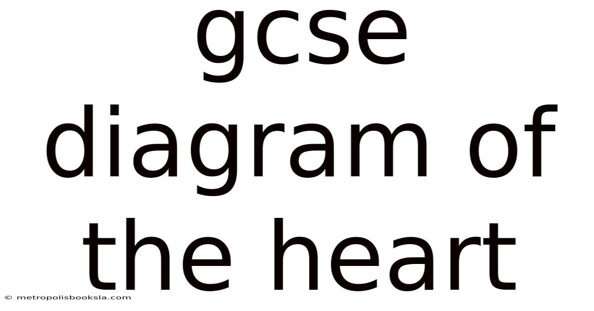 Gcse Diagram Of The Heart
