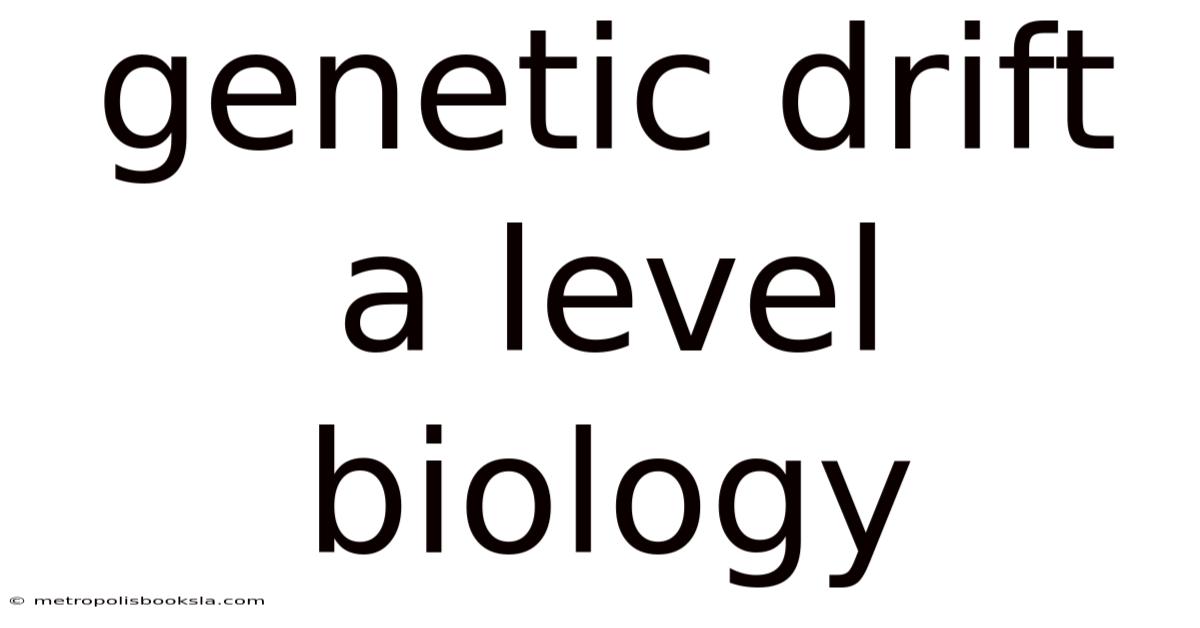 Genetic Drift A Level Biology