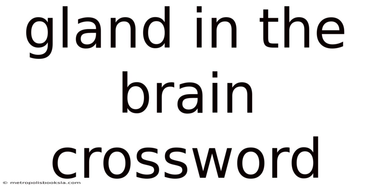 Gland In The Brain Crossword