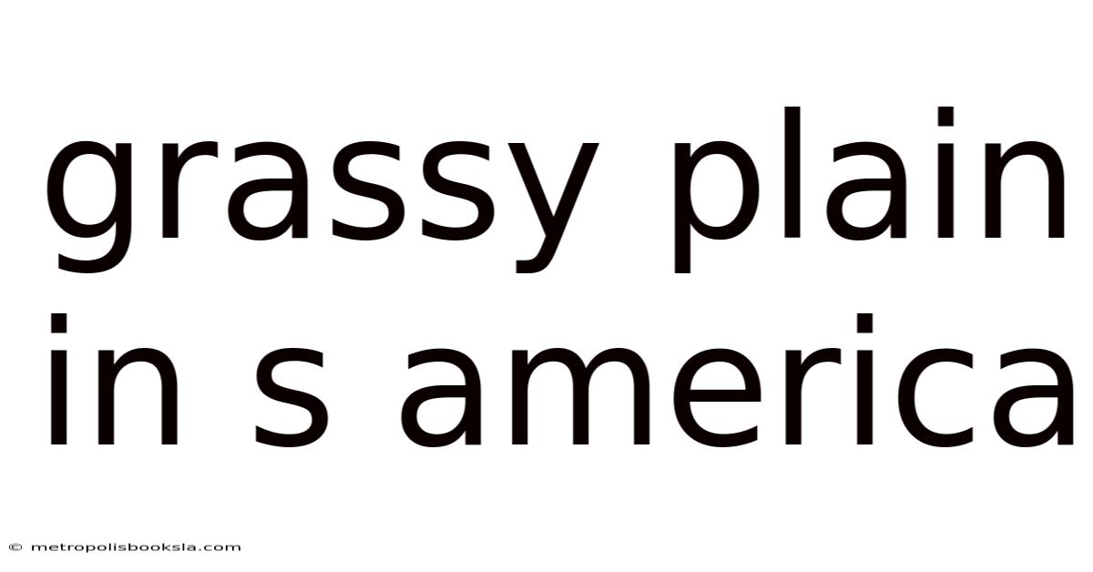 Grassy Plain In S America