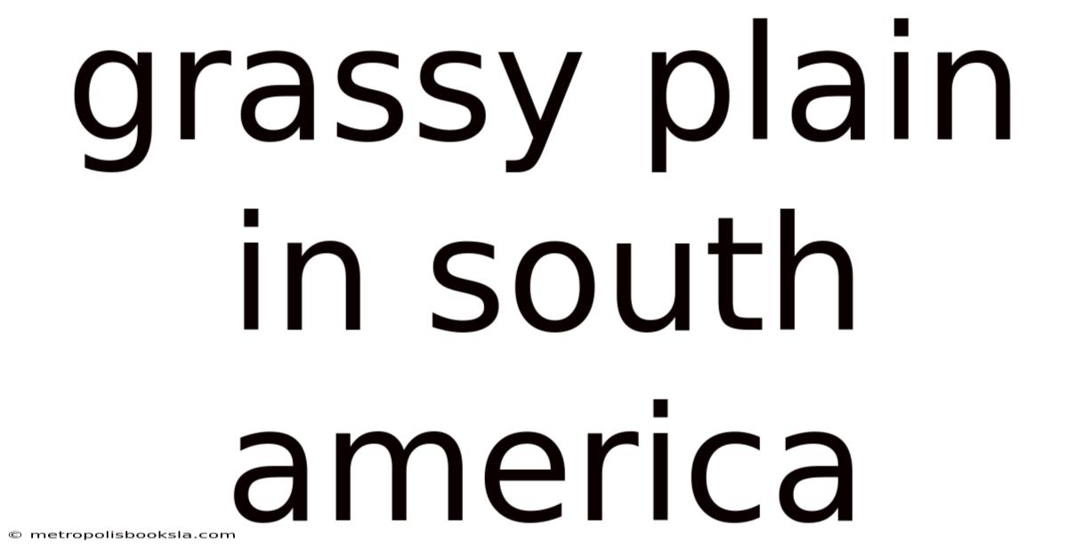 Grassy Plain In South America