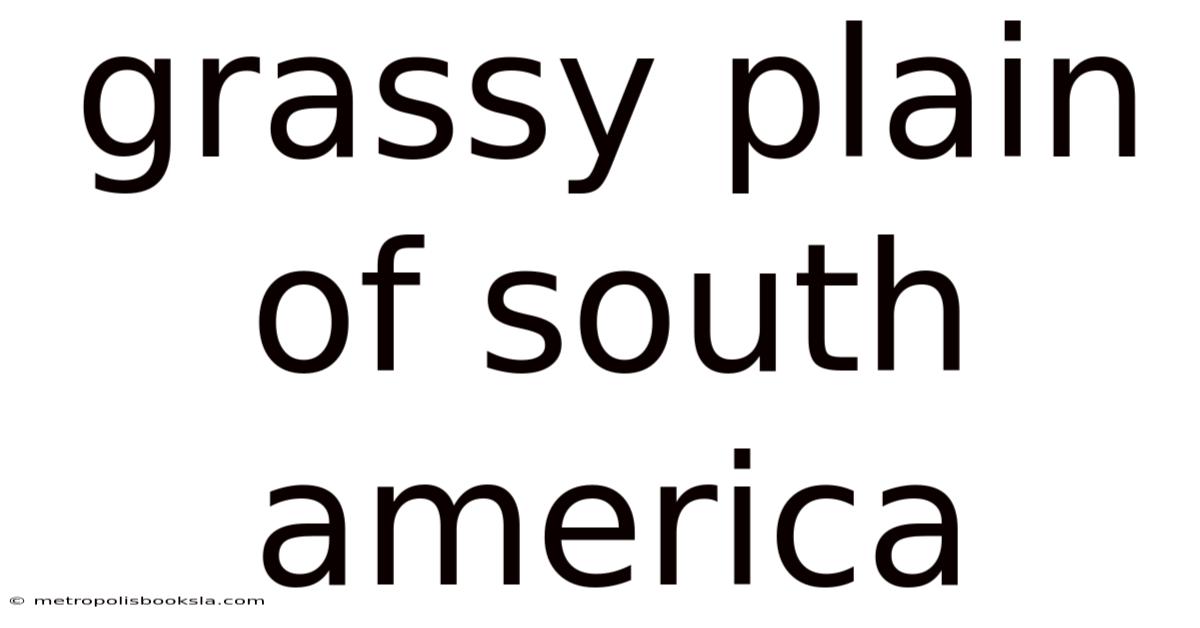 Grassy Plain Of South America