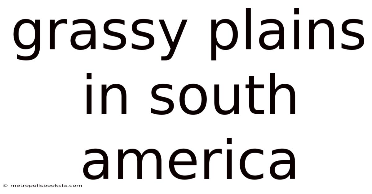 Grassy Plains In South America
