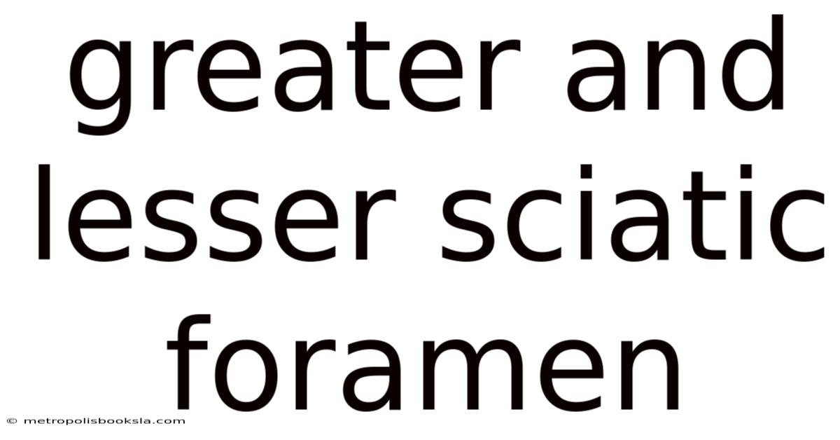 Greater And Lesser Sciatic Foramen