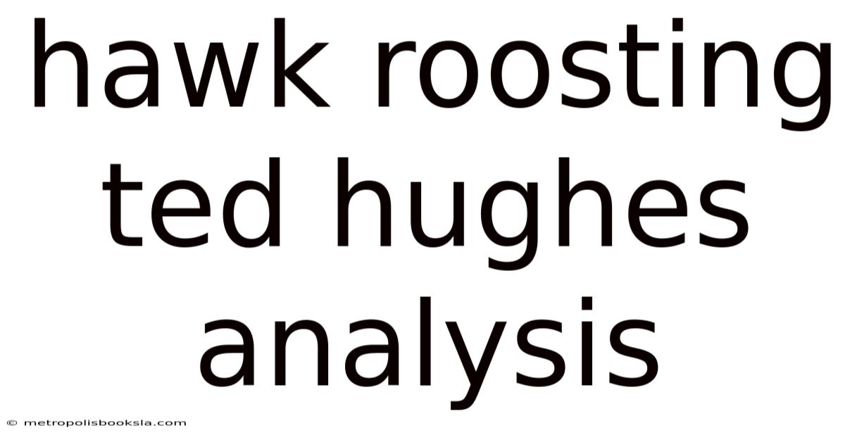 Hawk Roosting Ted Hughes Analysis
