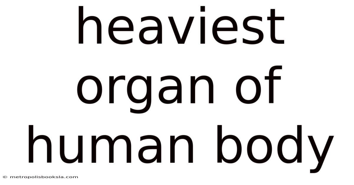 Heaviest Organ Of Human Body