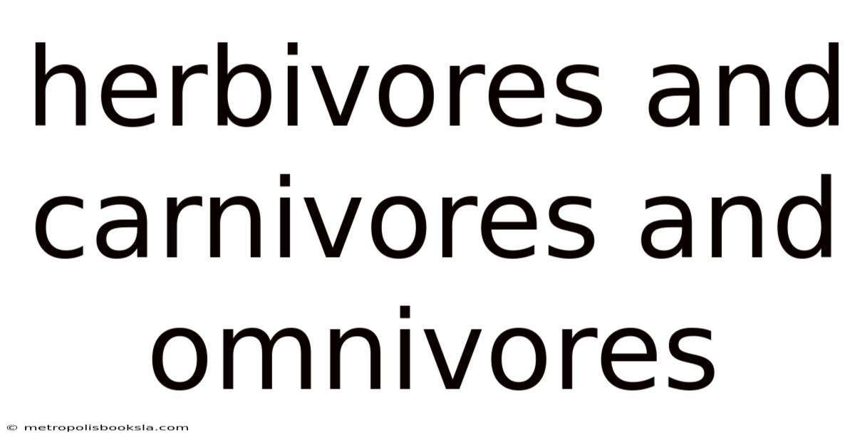 Herbivores And Carnivores And Omnivores