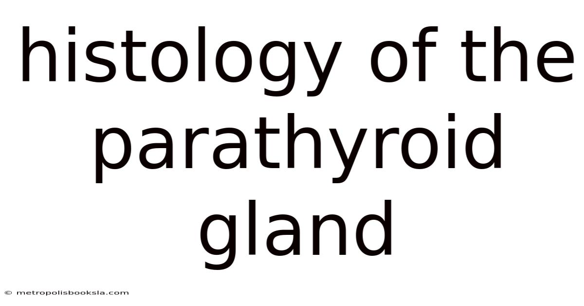 Histology Of The Parathyroid Gland