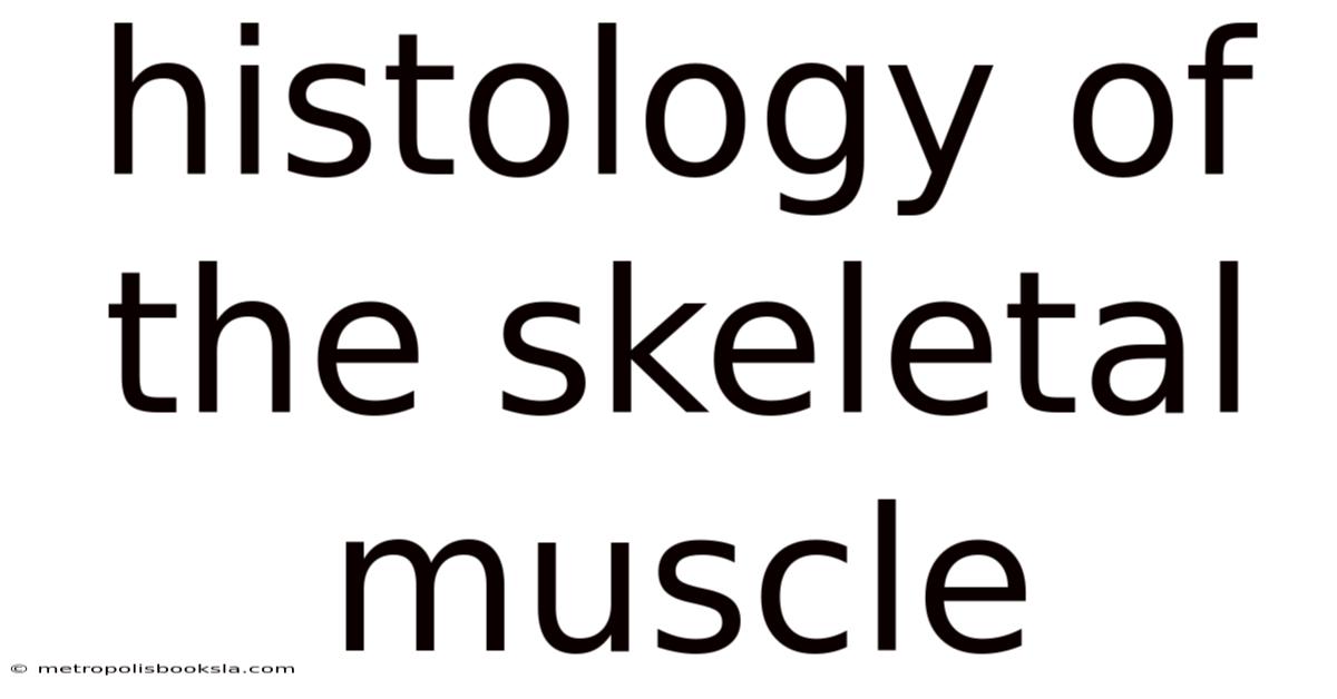 Histology Of The Skeletal Muscle
