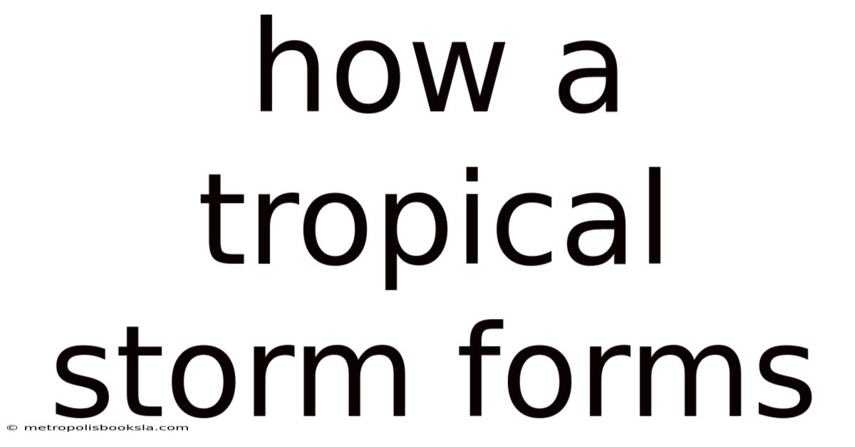 How A Tropical Storm Forms