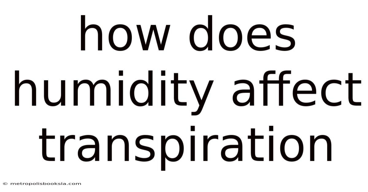How Does Humidity Affect Transpiration