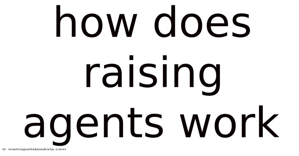 How Does Raising Agents Work