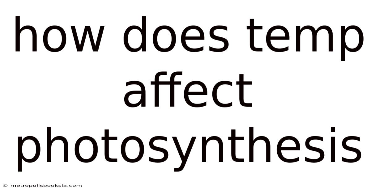 How Does Temp Affect Photosynthesis