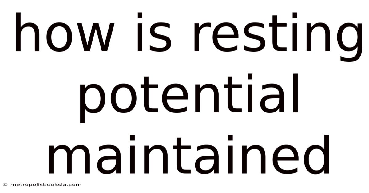 How Is Resting Potential Maintained