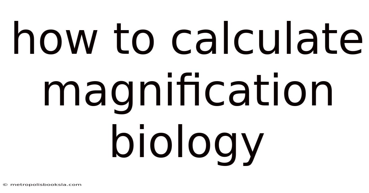 How To Calculate Magnification Biology