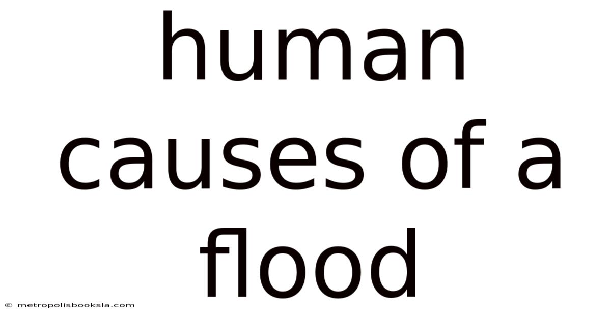 Human Causes Of A Flood
