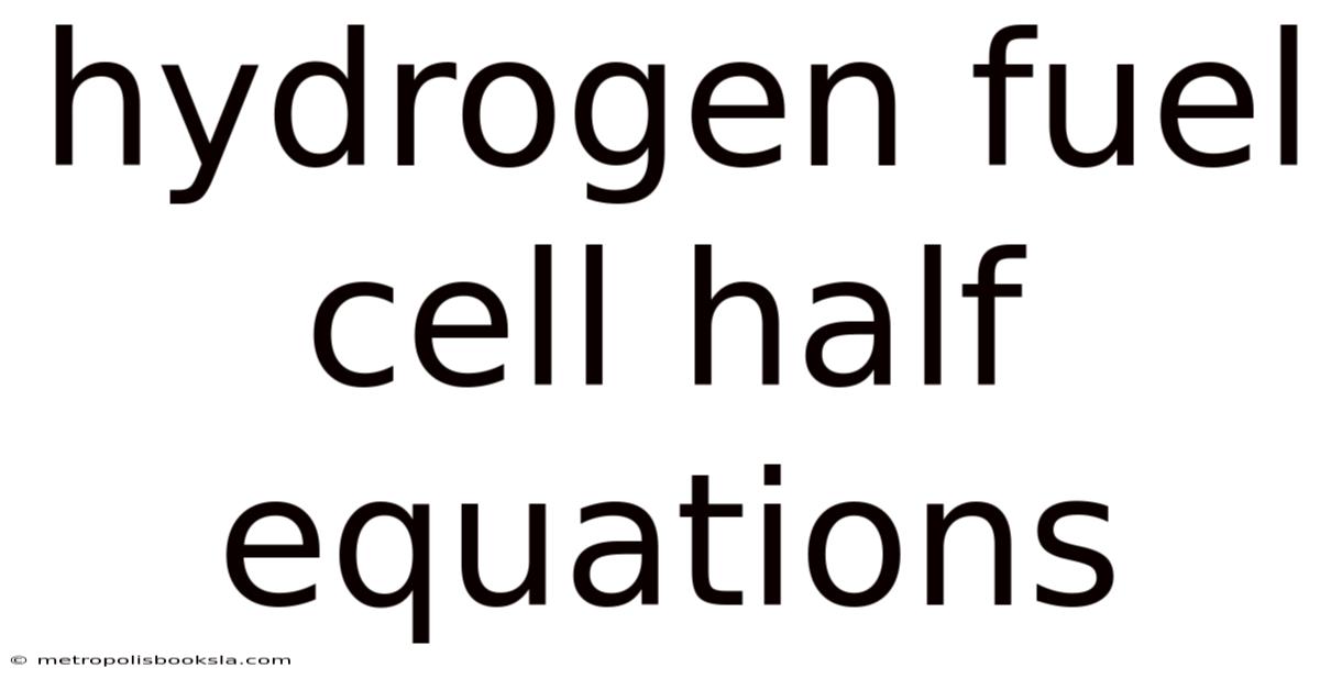 Hydrogen Fuel Cell Half Equations