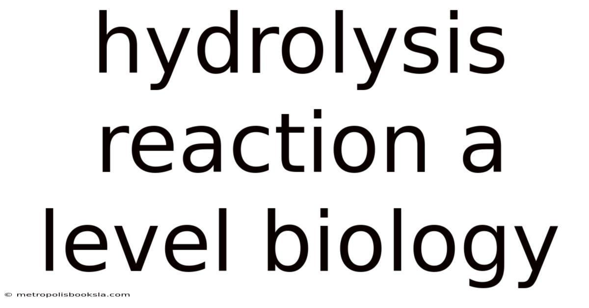 Hydrolysis Reaction A Level Biology