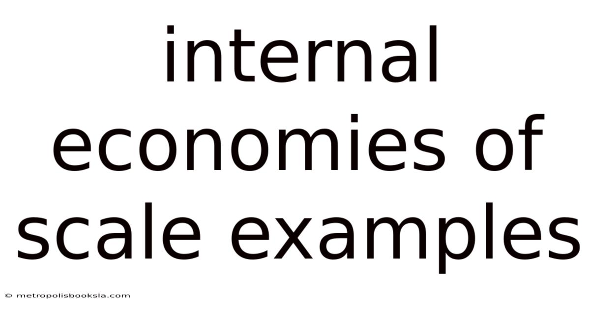 Internal Economies Of Scale Examples
