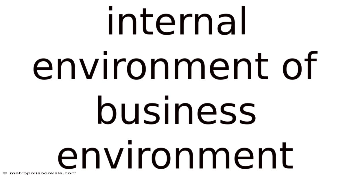 Internal Environment Of Business Environment