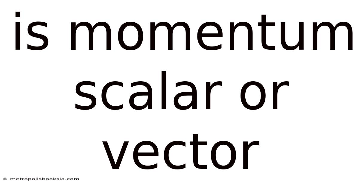 Is Momentum Scalar Or Vector
