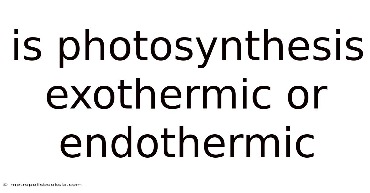 Is Photosynthesis Exothermic Or Endothermic