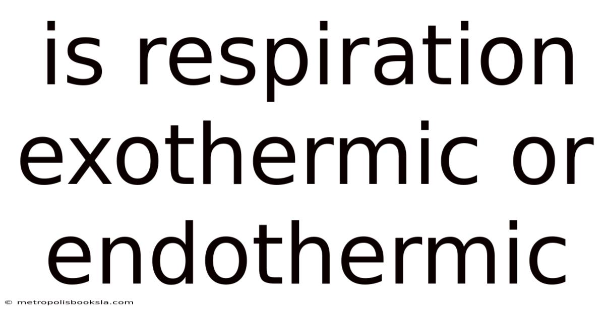 Is Respiration Exothermic Or Endothermic