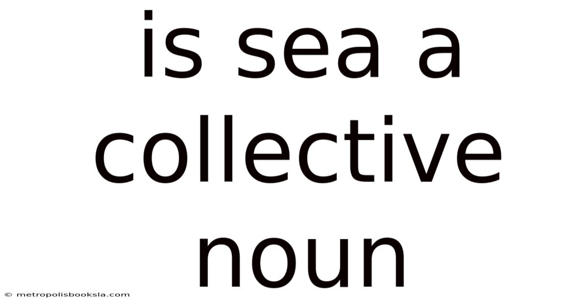 Is Sea A Collective Noun
