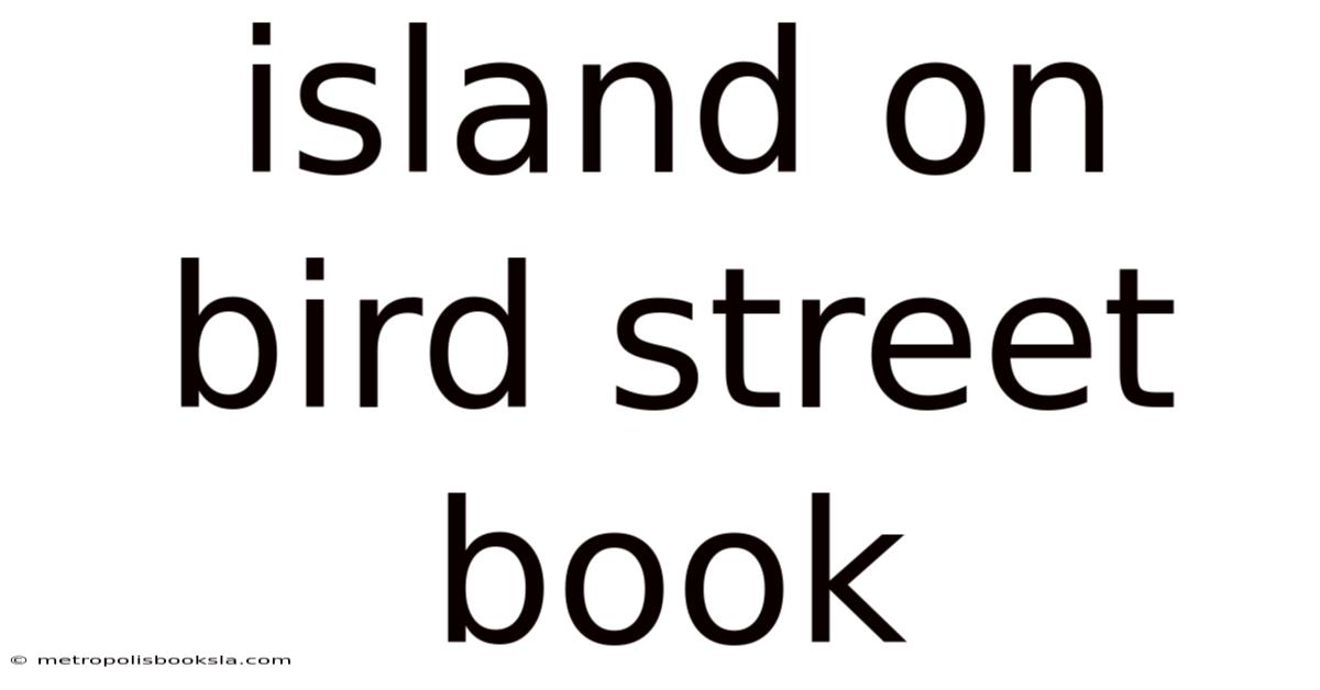Island On Bird Street Book