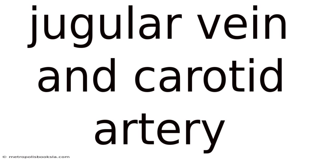 Jugular Vein And Carotid Artery