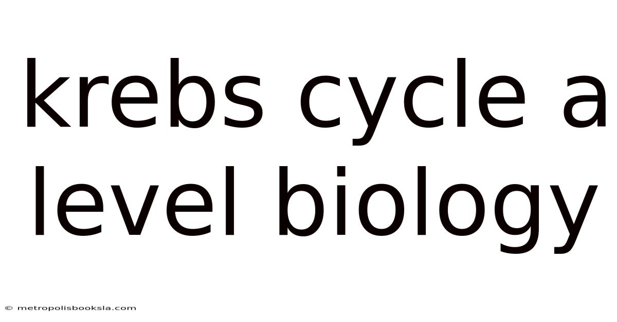 Krebs Cycle A Level Biology