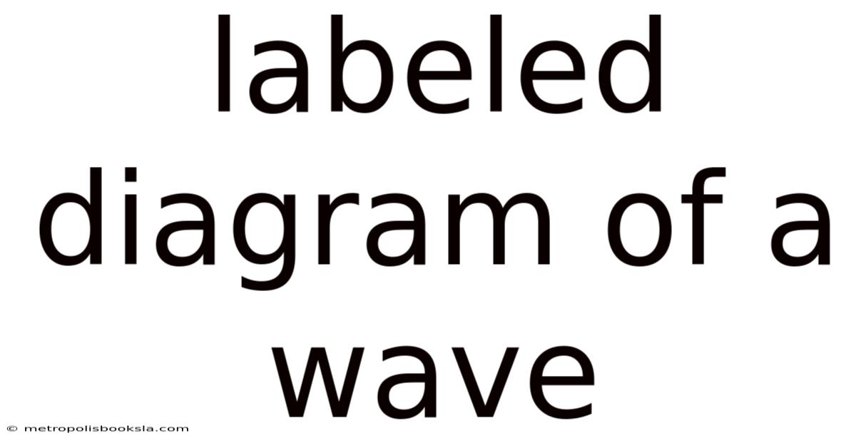 Labeled Diagram Of A Wave