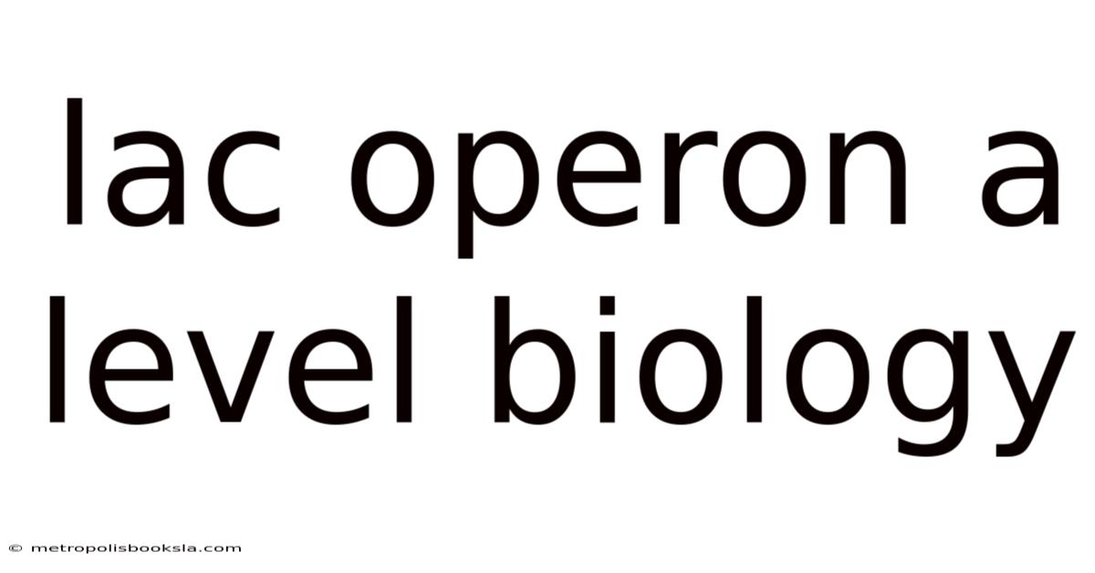 Lac Operon A Level Biology
