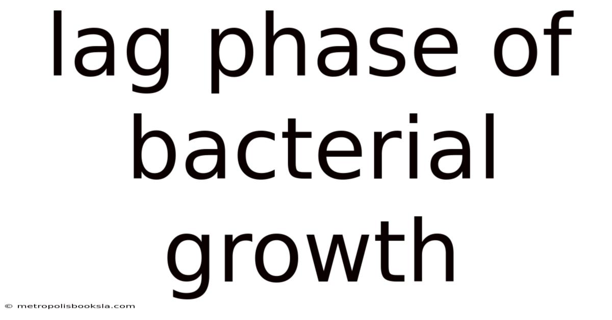 Lag Phase Of Bacterial Growth