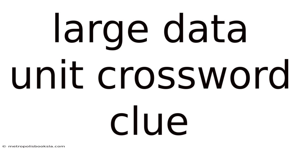 Large Data Unit Crossword Clue