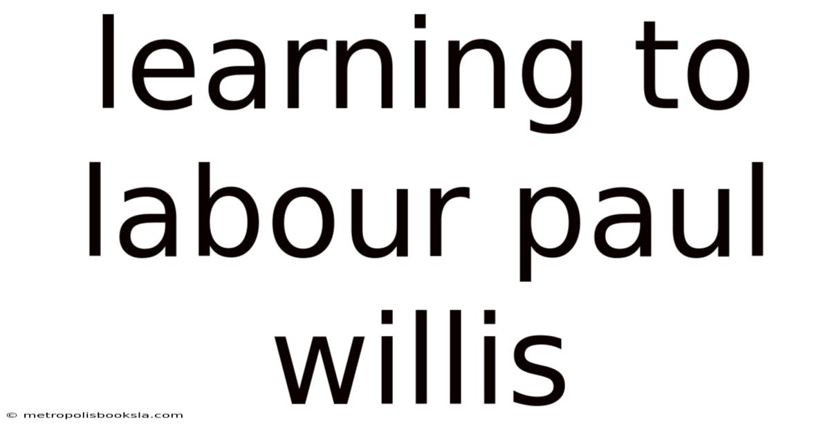 Learning To Labour Paul Willis