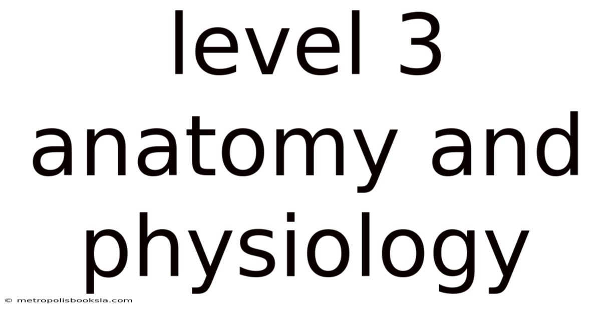Level 3 Anatomy And Physiology