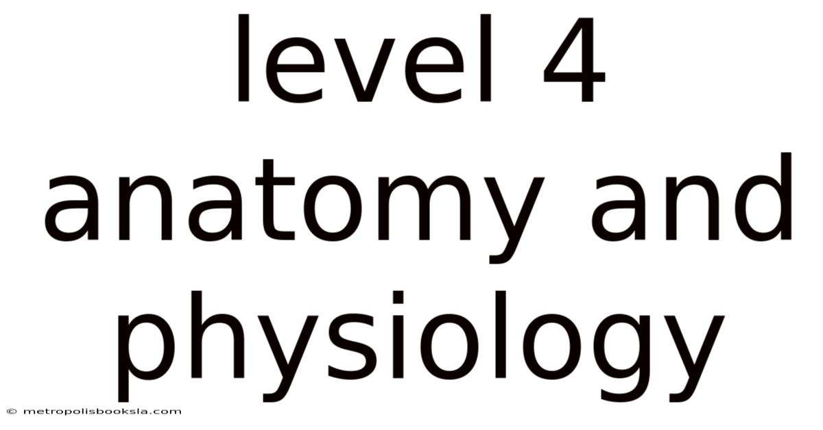 Level 4 Anatomy And Physiology