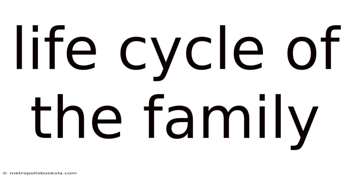 Life Cycle Of The Family