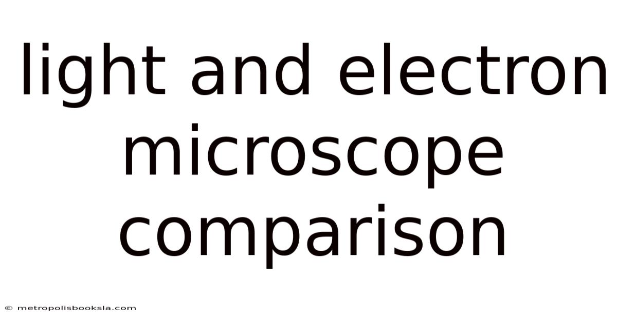 Light And Electron Microscope Comparison